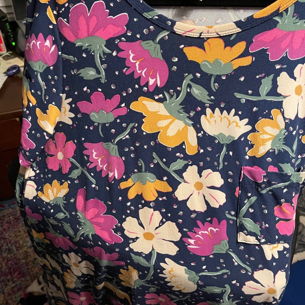 Lularoe Spring time🌸 Floral dress - Carly XL